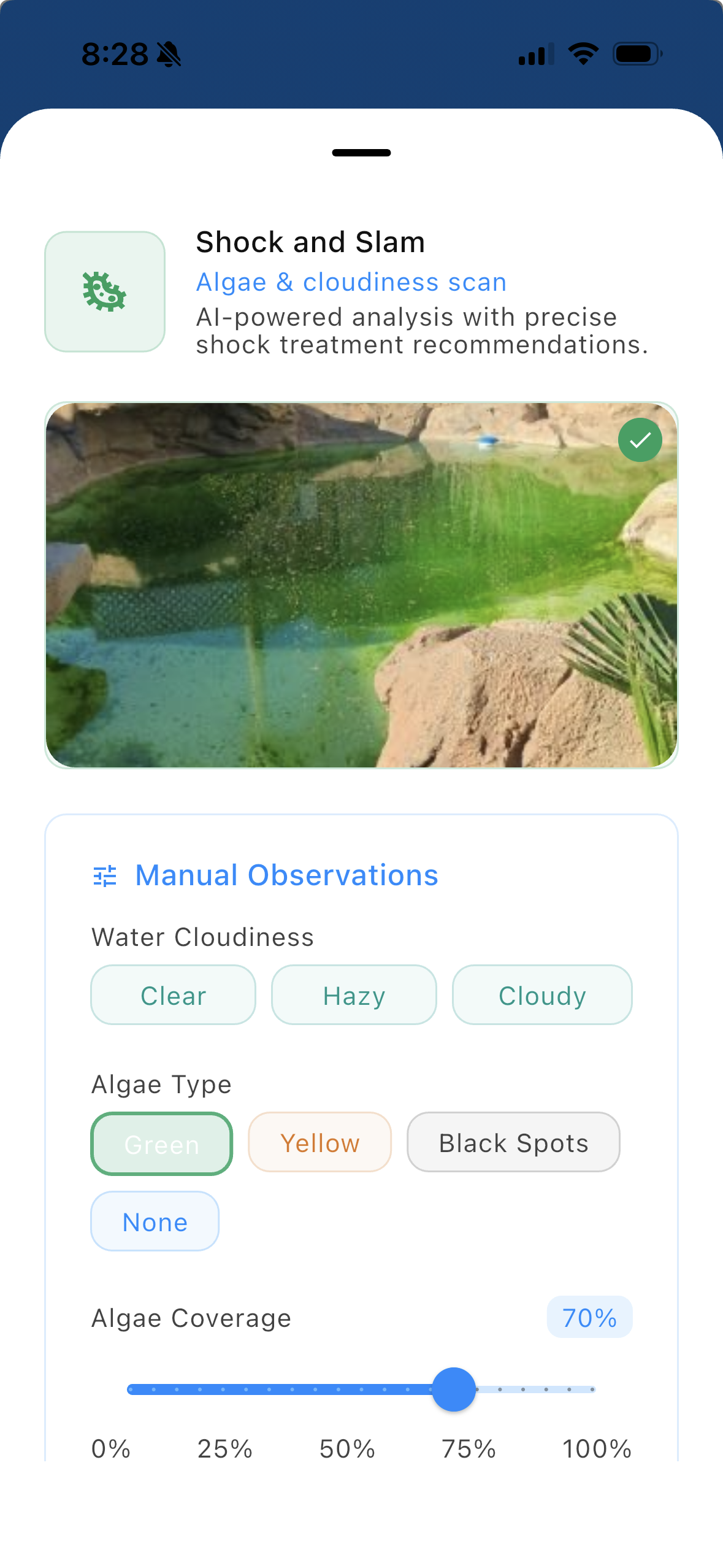 Pooli Shock and Slam algae and cloudiness scan, with green algae selected and coverage at 70 percent.